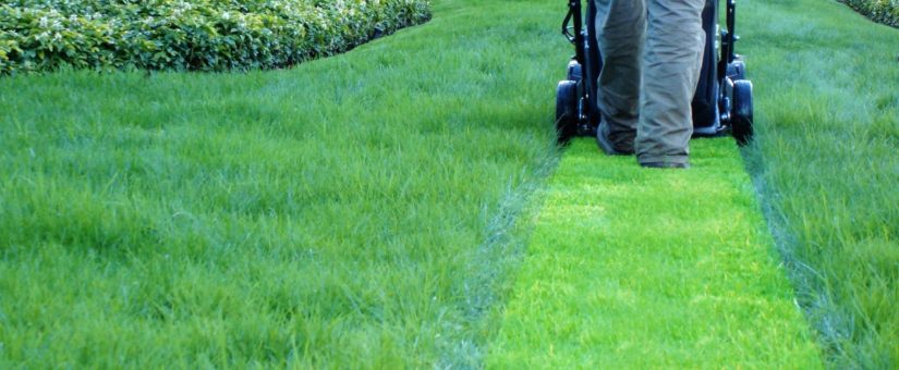 How to Go Green With a Battery Powered Lawn Mower