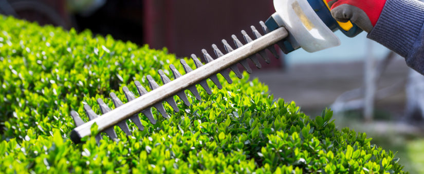 How to Find the Best Hedge Trimmer in 2018
