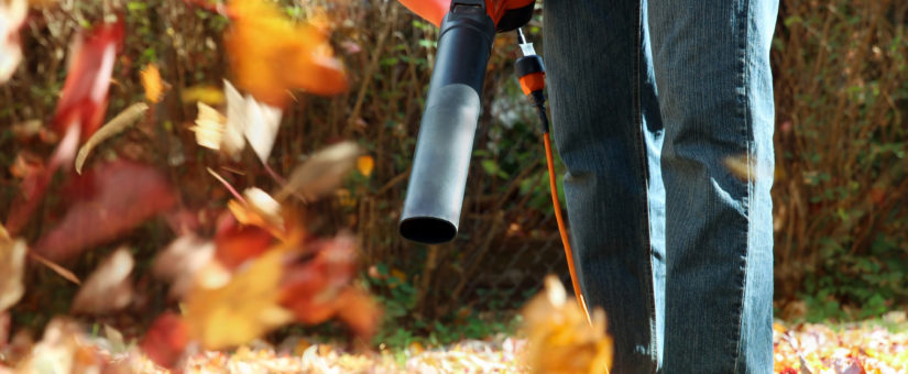 Leaf Blower Buying Guide: Helping You Choose the Best Option