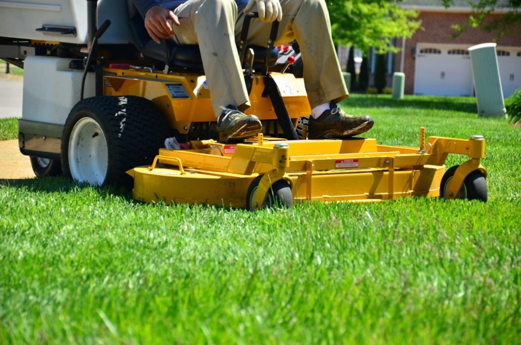 lawn care tips for spring