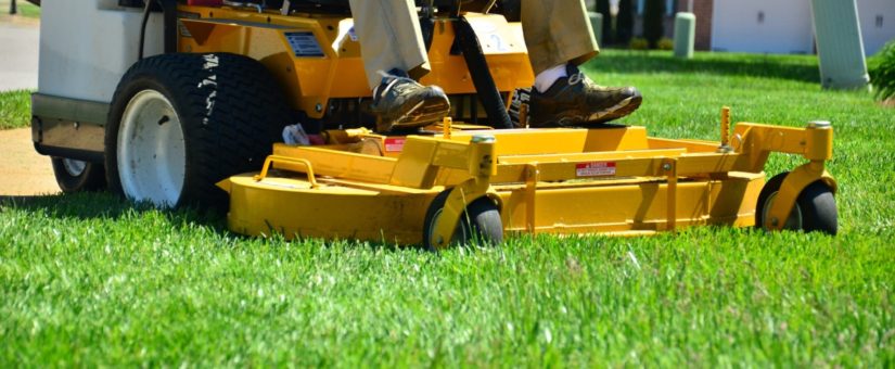 5 of the Best Spring Lawn Care Tips to Get Your Lawn Spruced up for Spring