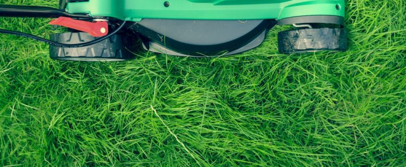 Winter’s Coming To An End! Here Are 6 Ways To Get Your Lawn Equipment Ready For Spring.