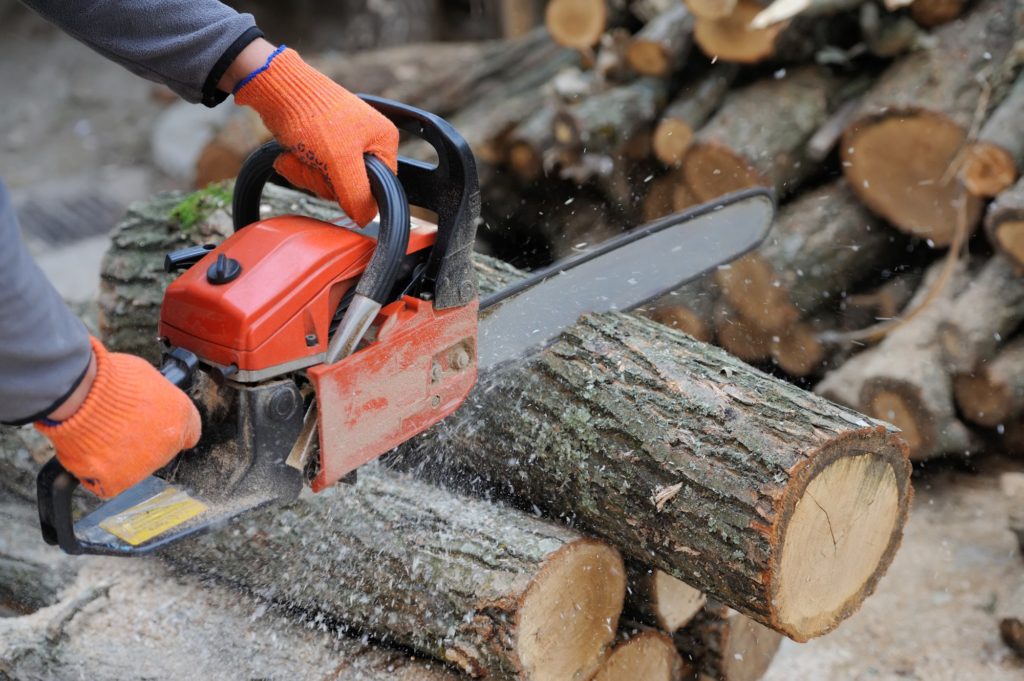 chainsaw safety tips