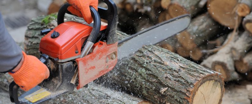 5 Chainsaw Safety (And Maintenance) Tips You Need To Know Before Using A Chainsaw