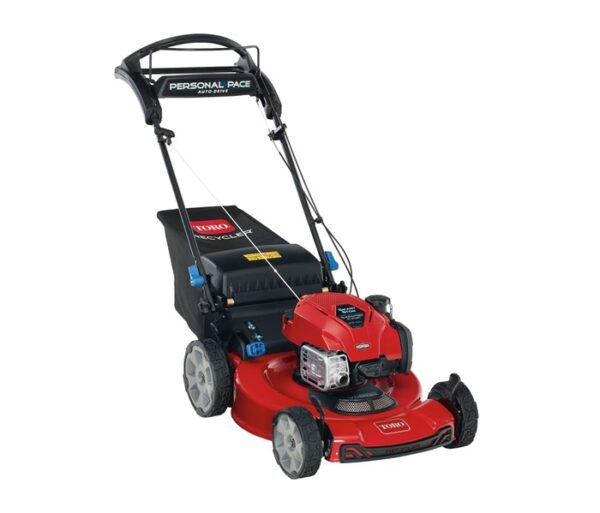 Toro 22