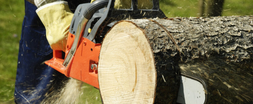 5 Chainsaw Maintenance Tips to Keep Your Chainsaw Running Perfectly